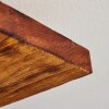 LED Deckenleuchte Pompu mit überlappenden Ringen, dunkle Holzplatte, 3000K warmweiß