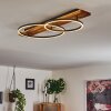 LED Deckenleuchte Pompu mit überlappenden Ringen, dunkle Holzplatte, 3000K warmweiß