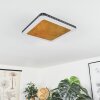 Guacacallo Deckenpanel LED Gold, Schwarz, Weiß, 1-flammig