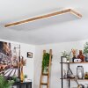 LED Panel-Leuchte Salmi, dimmbar per Fernbedienung, Lichtfarbe einstellbar 2700-6500 Kelvin