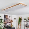 LED Panel-Leuchte Salmi, dimmbar per Fernbedienung, Lichtfarbe einstellbar 2700-6500 Kelvin
