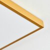 Broglen Deckenpanel LED Gold, 1-flammig