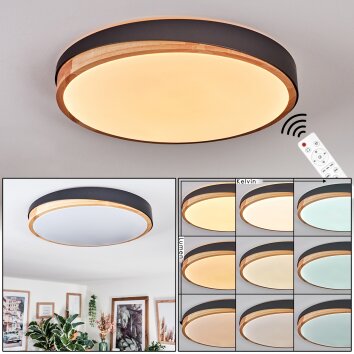 Hiral Deckenleuchte LED Naturfarben, Schwarz, 1-flammig, Fernbedienung