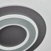 Lidor Deckenleuchte LED Schwarz, 1-flammig