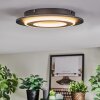 Lidor Deckenleuchte LED Schwarz, 1-flammig