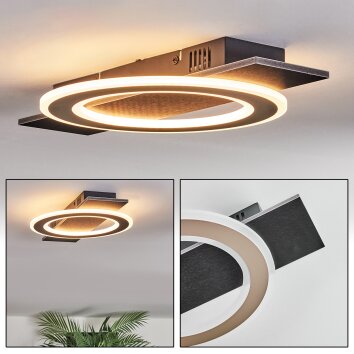 Lidor Deckenleuchte LED Schwarz, 1-flammig