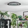 Lidor Deckenleuchte LED Schwarz, 1-flammig