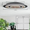 Lidor Deckenleuchte LED Schwarz, 1-flammig