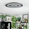 Lidor Deckenleuchte LED Schwarz, 1-flammig