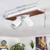 Dalan Deckenleuchte LED Naturfarben, Weiß, 2-flammig