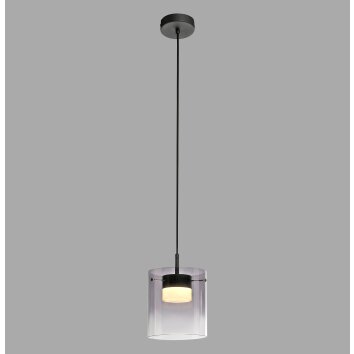 JUST LIGHT ELIO Pendelleuchte LED Schwarz, 1-flammig