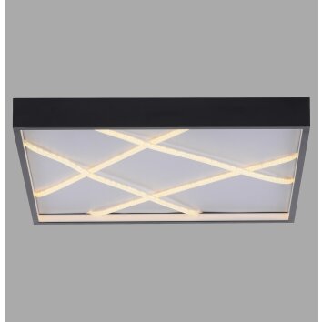 JUST LIGHT MIKADO Deckenleuchte LED Schwarz, 1-flammig