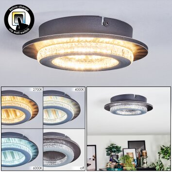 Lidor Deckenleuchte LED Grau, Schwarz, 1-flammig