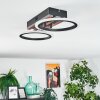 Galen Deckenleuchte LED Holzoptik, Schwarz, 1-flammig