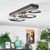 Galen Deckenleuchte LED Holzoptik, Schwarz, 1-flammig