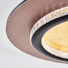 Lidor Deckenleuchte LED Gold, Schwarz, 1-flammig