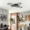 Hyacinthe Deckenleuchte LED Schwarz, 1-flammig