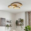 Baiyin Deckenleuchte LED Gold, Schwarz, 1-flammig
