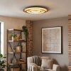 Lidor Deckenleuchte LED Gold, Kupferfarben, Schwarz, 1-flammig, Fernbedienung