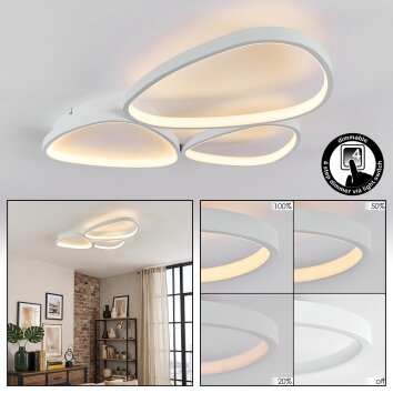 Molin Deckenleuchte LED Weiß, 1-flammig