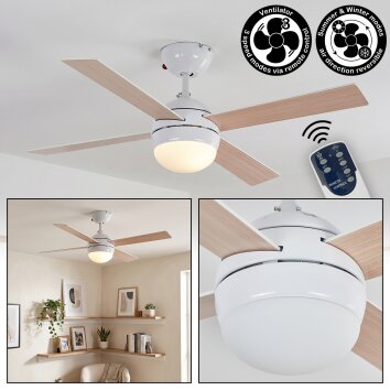 Deckenventilator Lenok mit Beleuchtung Ventilatorlampe Weiß Ø 106,6 cm mit Fernbedienung